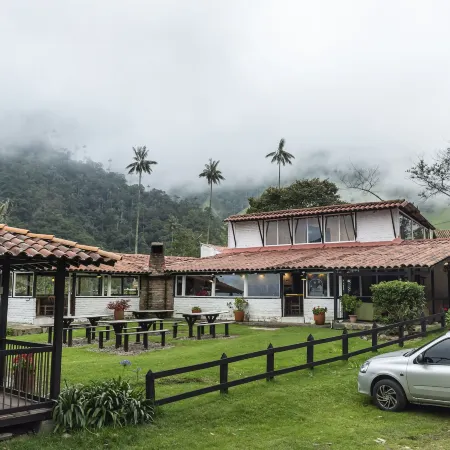 Palmas de Cocora
