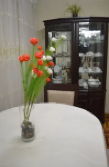 Casa del Ande I Hotels in 