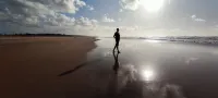 Lions' Luxury Eco Resort & Spa - Beach
