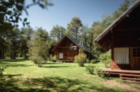 Cabañas Metreñehue - Parque Metreñehue