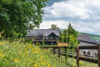 Hotel Ulftaler Schenke Hotels in Gouvy