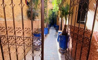 Elegancia Riad Boutique & Spa