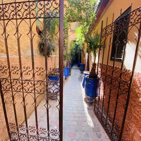 Elegancia Riad Boutique & Spa
