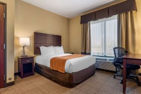 Comfort Suites Airport South