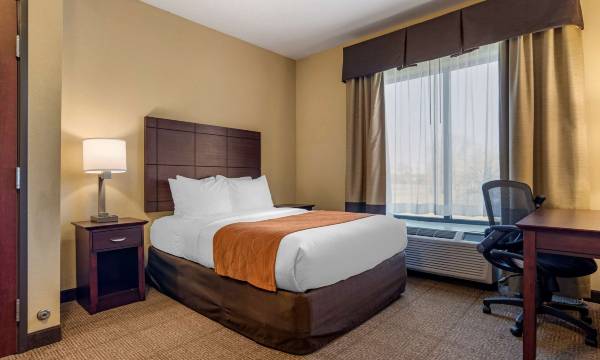 Comfort Suites Airport South