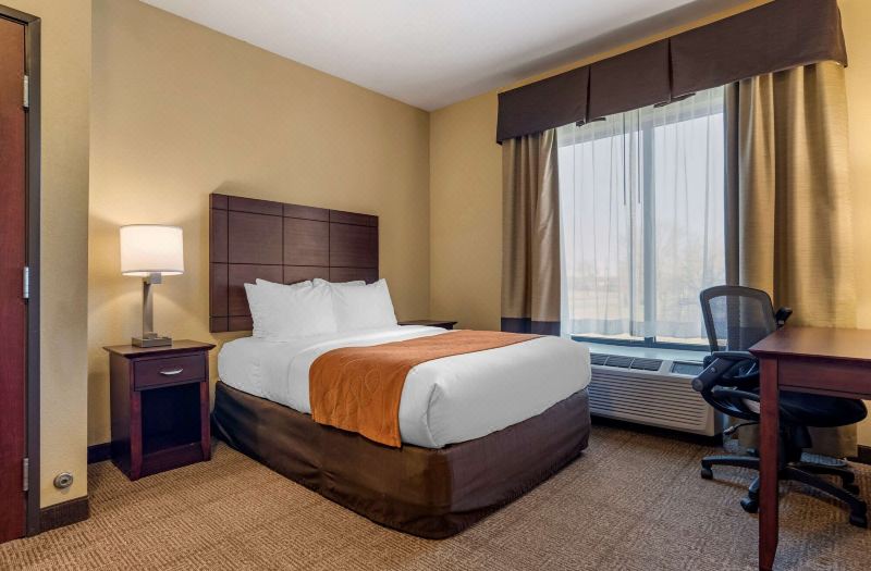 Comfort Suites Airport South