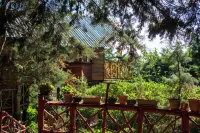 Los Naranjos Town Houses Hotels in 