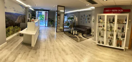 Hotel Ribeira Sacra Отели в г. Собер