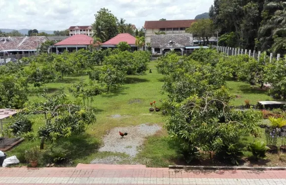 哈魯姆麥尼斯鄉村民宿