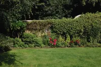Wingrove House - Villas