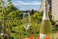 Riverside Garden Apartment with lovely River Tay views and parking