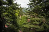 Villa Sara in Sinaia near Peles & Gondola