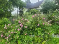 Spectacular Mnt Sunrise spacious pvt suite 2BR/1ba Hotels in Bucksport