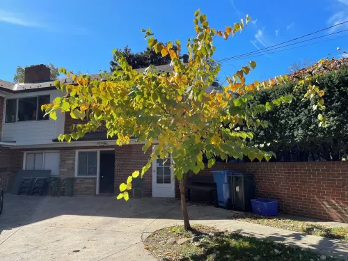 Two Double Beds, Bathroom, Shower, Fridge, MW, TV, Wifi - 64.