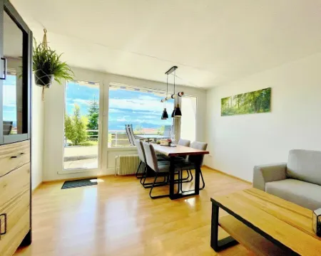 Modern "Waldluft" apartment with pool and sauna in Scheidegg in the Allgäu Hotels in Scheidegg
