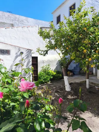 The Well House Отели рядом с достопримечательностью «Парк Ардалес»