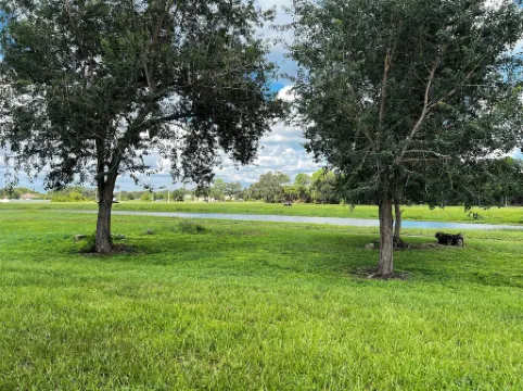 Brand new Lakefront Home with modern kitchen & lake view