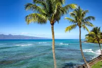 Kbm Resorts Free Car Lokelani Oceanfront 2-Bedrooms Condo Recently Remodeled Lok-B201