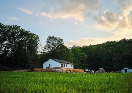 Saddleview Bed & Breakfast