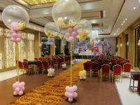 Hotel Amora Hotels in Rajnandgaon