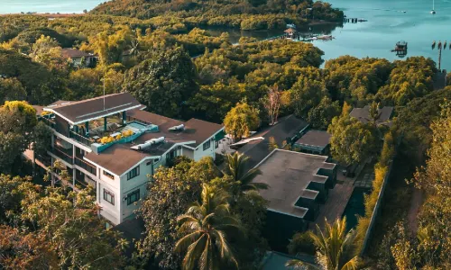 더 퍼니 라이언