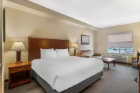 Best Western Plus Service Inn  Suites Hotel a Lethbridge