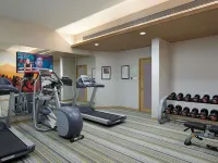 Ibis Pune Hinjewadi - Gym