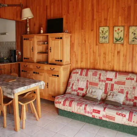 Cozy apartment in heart of Chatel