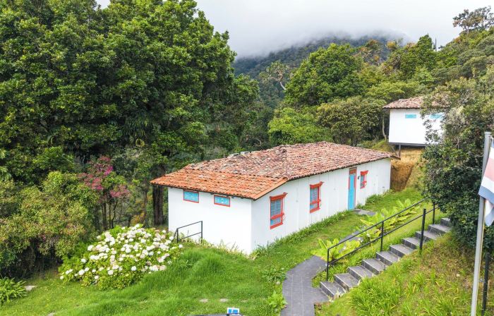Dantica Cloud Forest Lodge