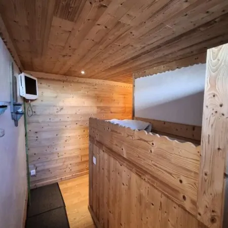 Apartment in Alps near Ski Lifts