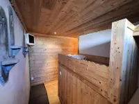 Apartment in Alps near Ski Lifts