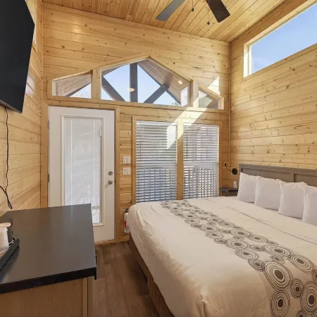 Cozy Tiny Home 2 King Room Sleeps 4