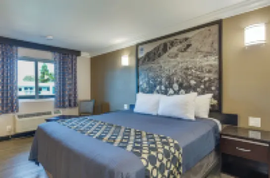 ホテル サビル オンタリオのホテル