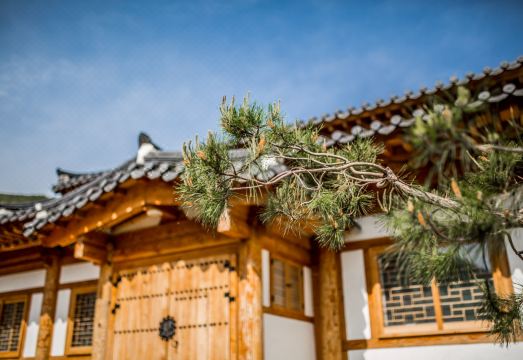 한옥 스테이 내부 전경