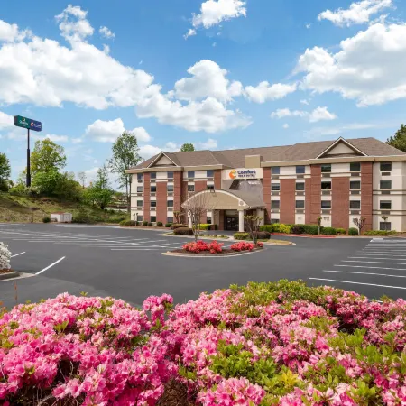 Comfort Inn & Suites Suwanee - Sugarloaf