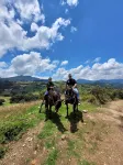 Cabañas Paraíso en La Montaña - Homestays