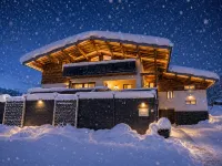 Panorama Chalet Fieberbrunn - Wifi