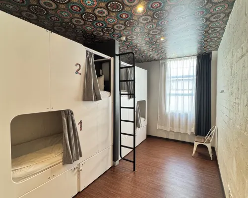 91 Loop Boutique Hostel Hotels near Cape Quarter