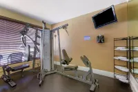 Royal Sun Inn & Suites - salle de sport