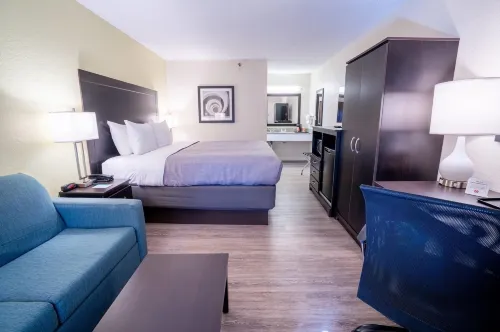 Quality Inn Palm Beach International Airport - Pet friendly