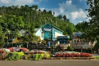 Cozy Cabin Escape 7Mins to Pigeon Forge Hot Tub - Condos