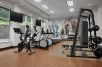 Embassy Suites by Hilton Birmingham Hoover - Gym