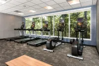 克雷斯特維尤萬楓酒店及套房 - 健身室/gym room