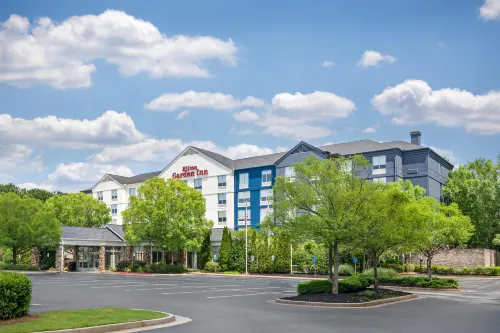 Hilton Garden Inn Atlanta Northpoint - bar