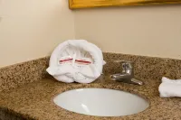 Red Roof Inn & Suites Pigeon Forge - Parkway - Kæledyr tilladt