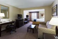 Holiday Inn Express & Suites MOULTRIE by IHG - Wifi