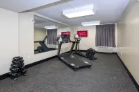 レッド ルーフ イン プラス + タスカルーサ - ユニバーシティ - 駐車場