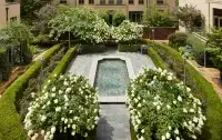 Waldorf Astoria Atlanta Buckhead - Romantic
