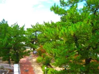 Beachhotel Shirarahama - 2 звезды
