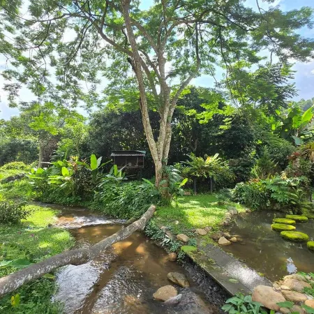 Tharnthong Lodges